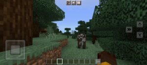 Descargar Minecraft 1.16 3