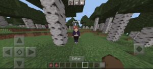 Jenny Mod Minecraft 4