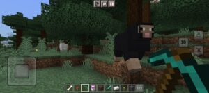 Descargar Minecraft 1.21 6