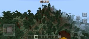 Descargar Minecraft 1.18 6