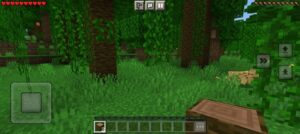 Descargar Minecraft 1.19.50 6