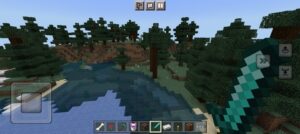 Descargar Minecraft 1.17.11 7