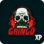 gringo xp-logo