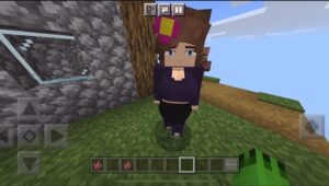 Jenny Mod Minecraft 8