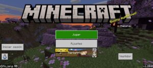 Descargar Minecraft 1.17 9