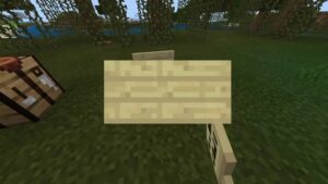 Descargar Minecraft 1.19.50 8