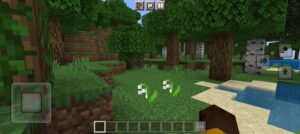 Descargar Minecraft 1.20 10