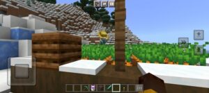 Descargar Minecraft 1.16 10