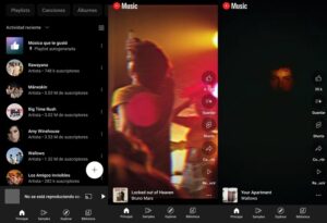 YouTube Music Premium 5