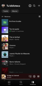 Spotify X Premium 7