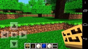 Minecraft Pocket Edition 8